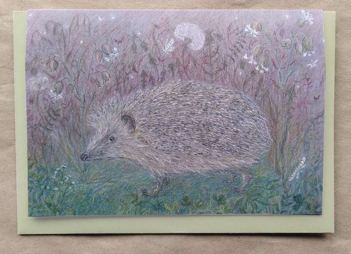 A Hedgehog at Night