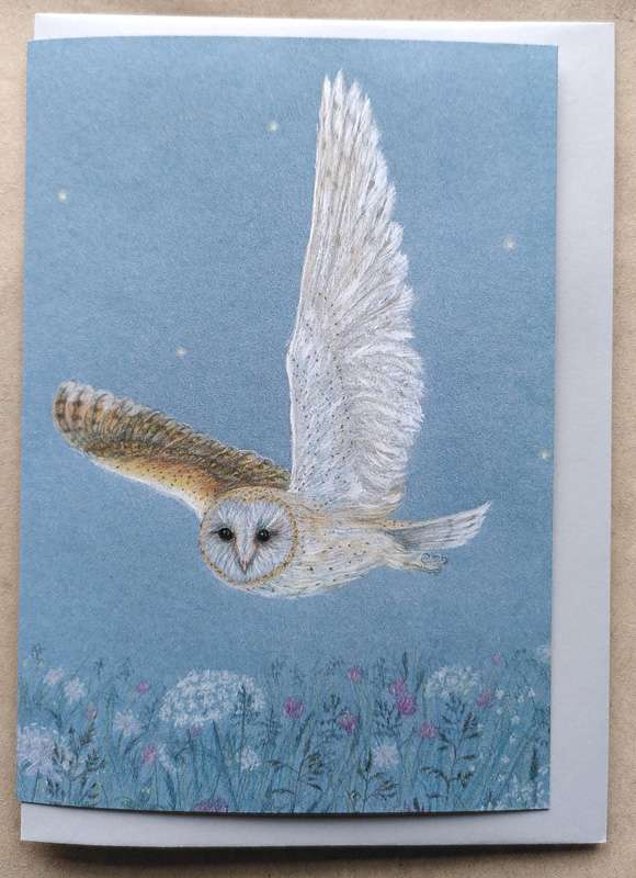 Barn Owl - Summer