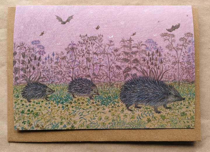 Hedgehog Family