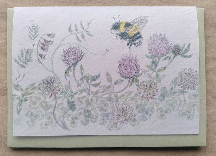 Bee and Clover
