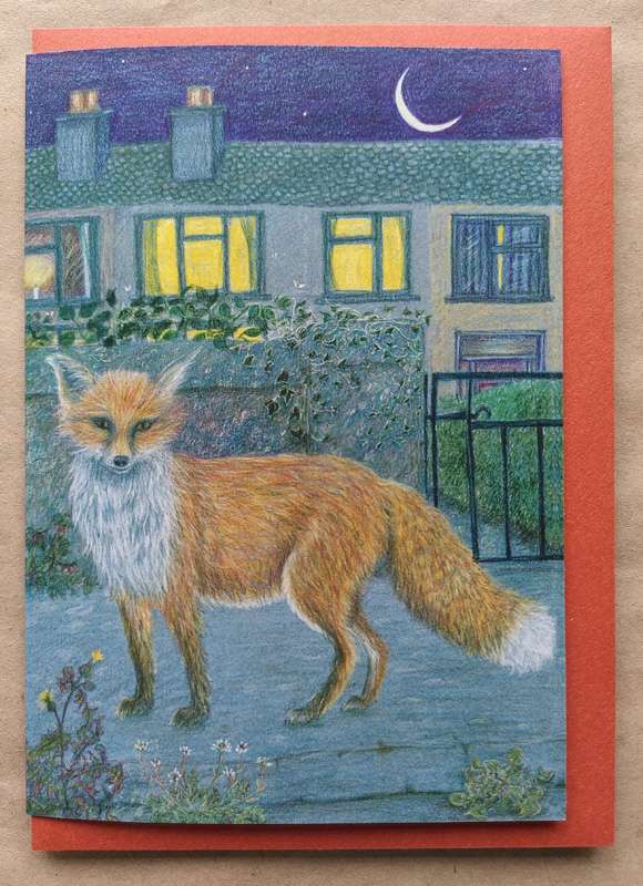Neighbourhood Fox