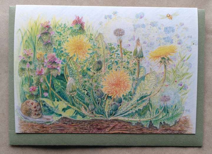 Dandelions