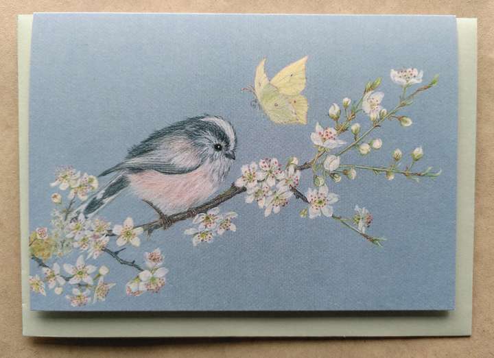 Long-tailed Tit