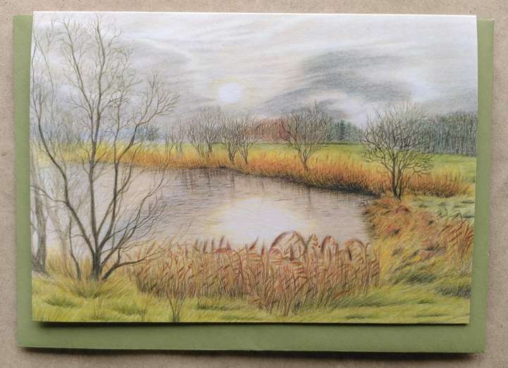 Reeds and Cloud