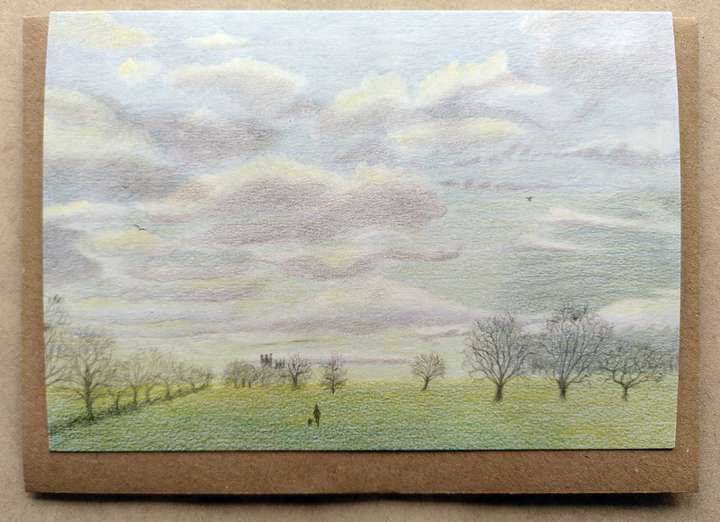 Winter Afternoon