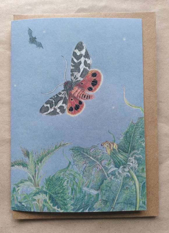 Tiger Moth