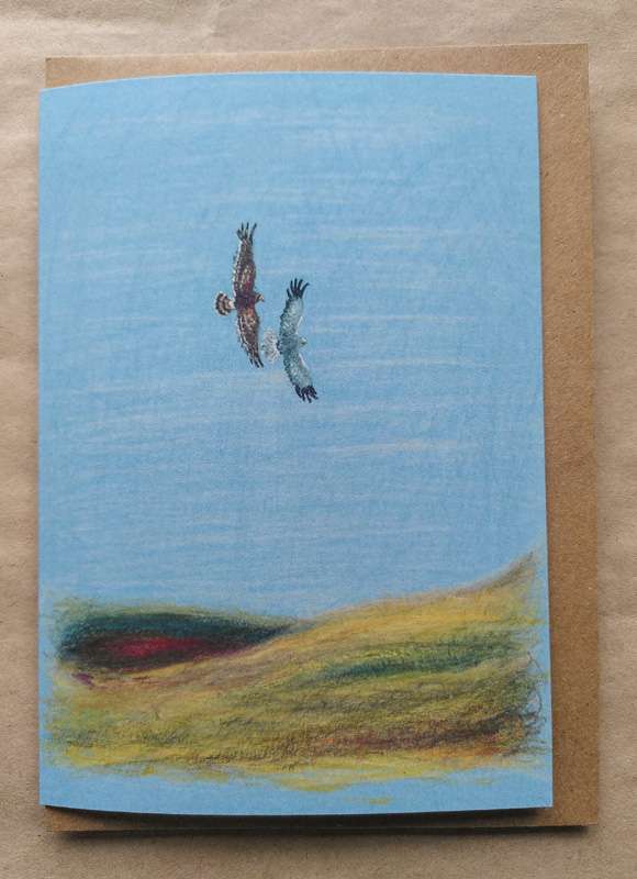Hen Harriers