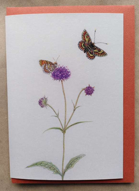 Marsh Fritillary