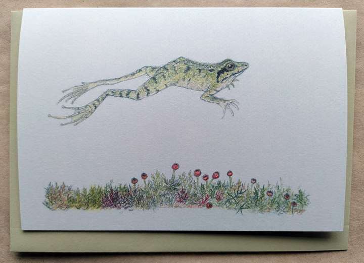 Leaping Frog