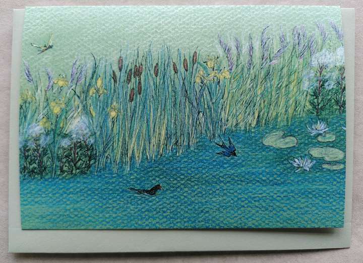 Summer Pond