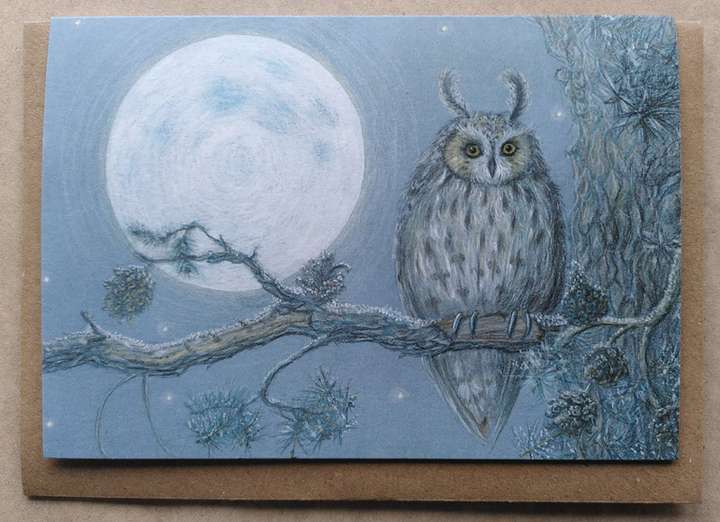 Long-eared Owl