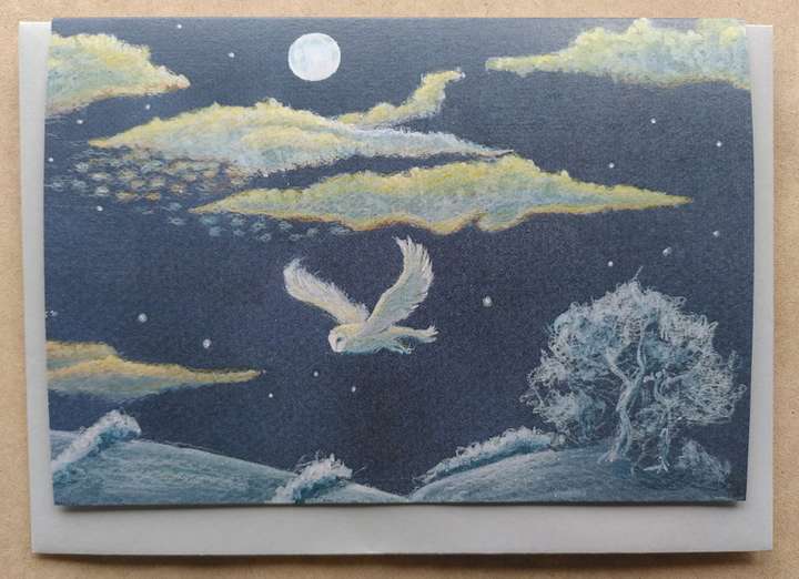 Barn Owl - Winter