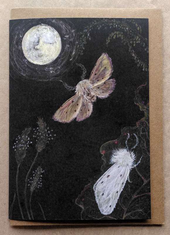 Muslin Moths