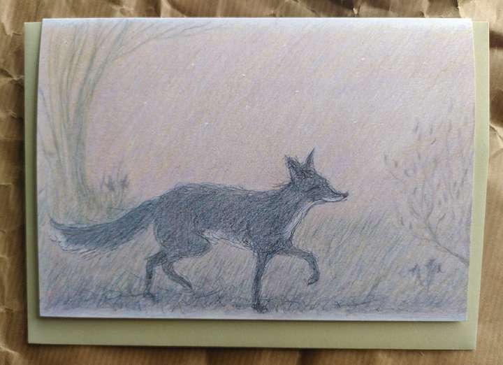 Fox at Dusk