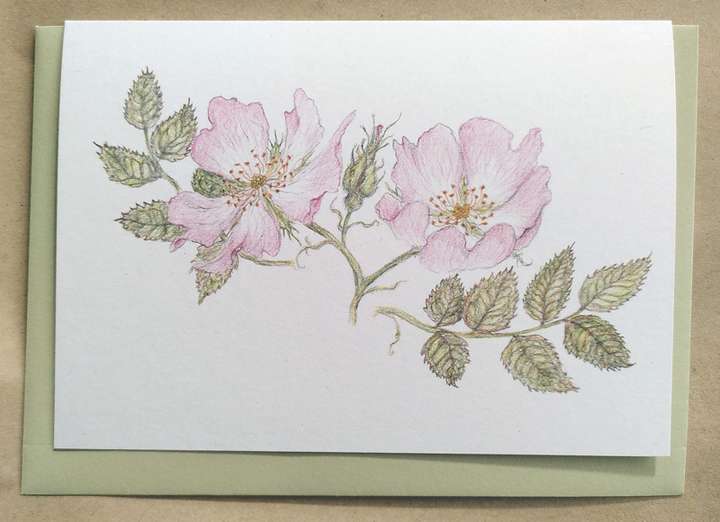 Wild Rose