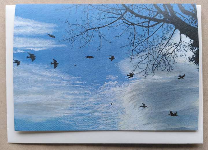 Pigeons Flying