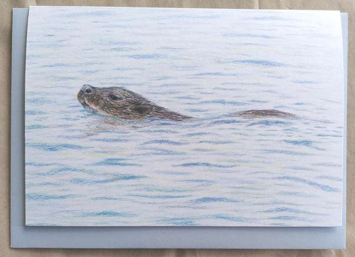 Otter Swimming