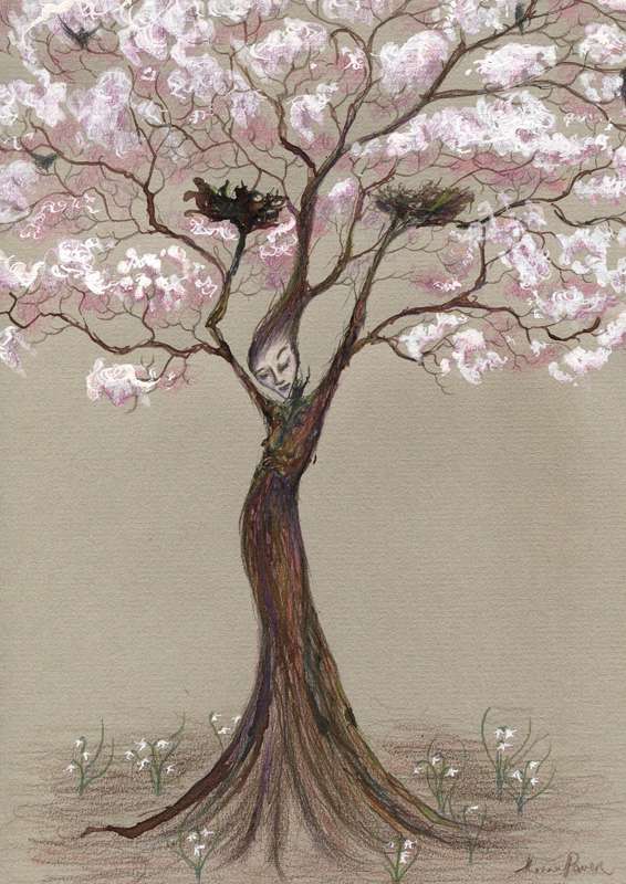 NEW PRINTING Cherry Tree