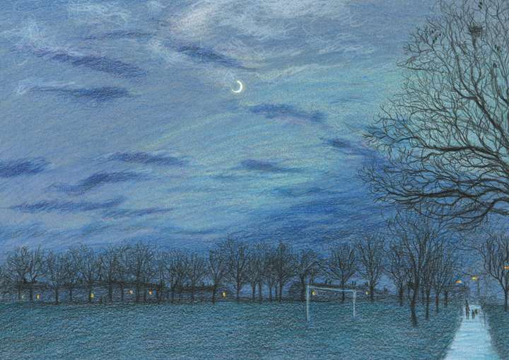 NEW PRINTING Moonlit Park