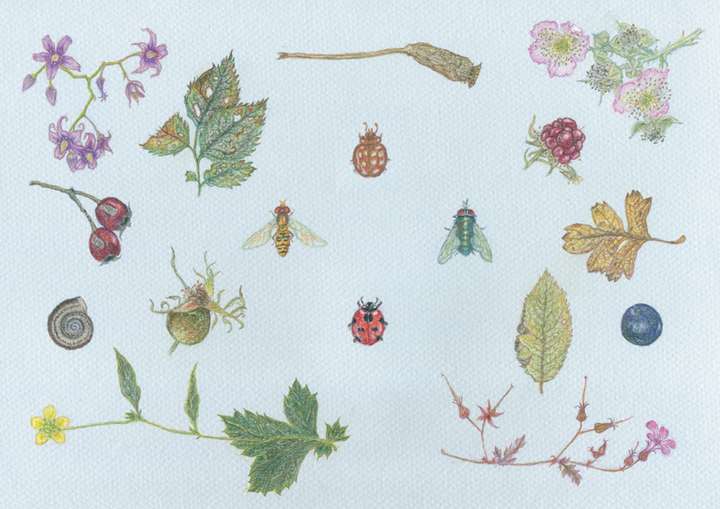 NEW PRINTING Nature Table