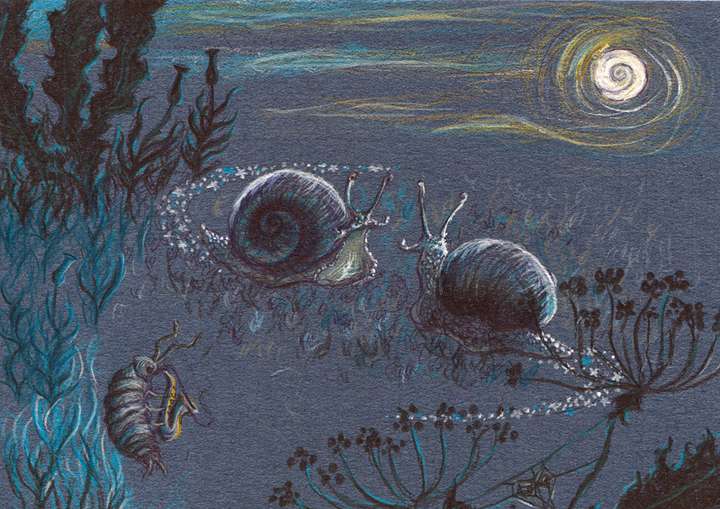 NEW PRINTING Snails By Moonlight
