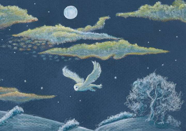 NEW PRINTING Barn Owl Winter Sky