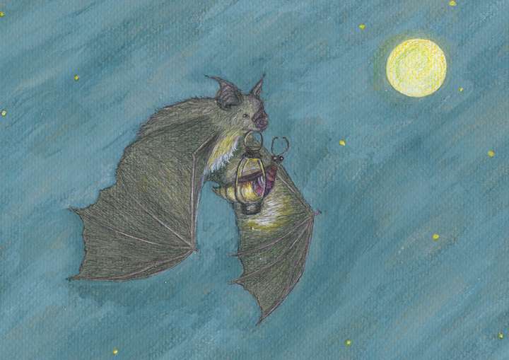 NEW PRINTING Bat with Lantern