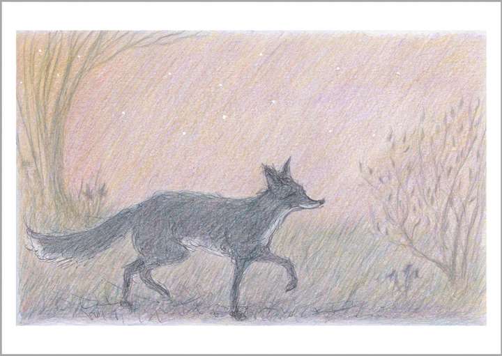Fox at Dusk