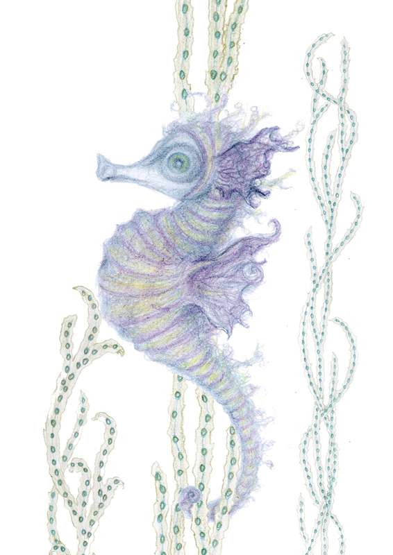 Seahorse