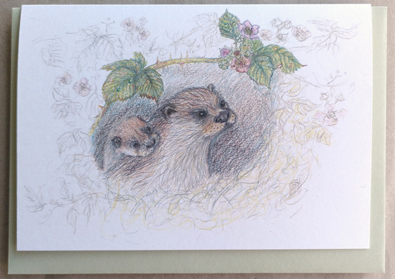 Otter Holt