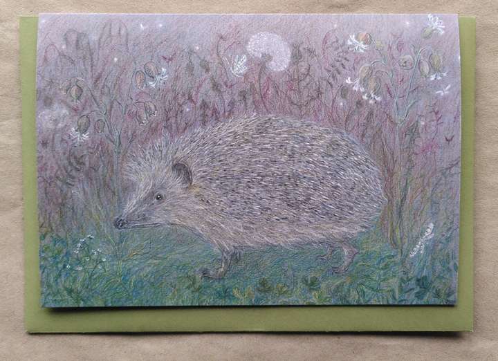 A Hedgehog at Night
