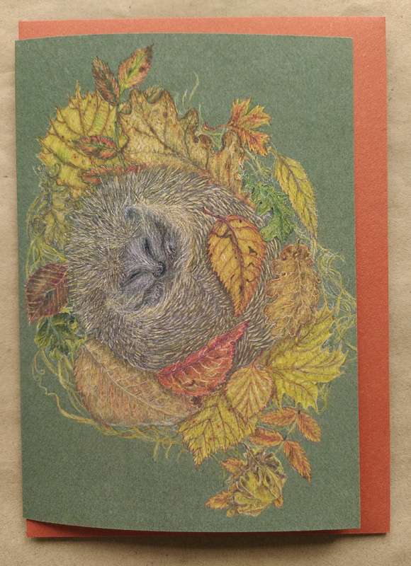 Hibernating Hedgehog