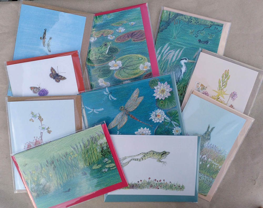 Wetlands Irish nature greetings cards